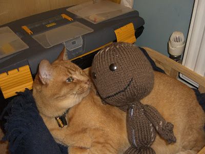 TheDailyLBP tweet media