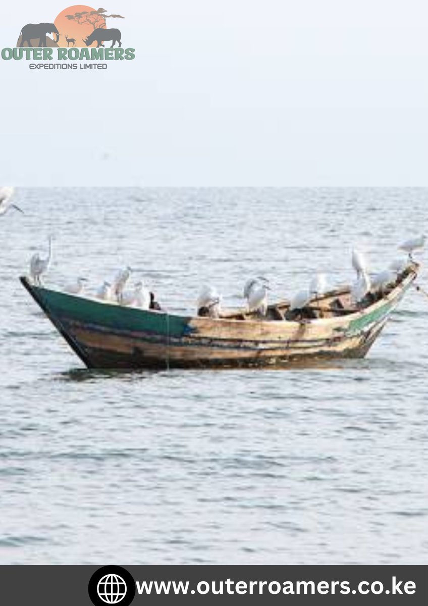 OUTER ROAMERS EXPEDITIONS LIMITED tweet media