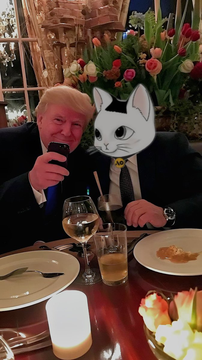 Maykell86's tweet photo. #trump dinner with @Bencatcoin  before the inauguration 😋
#bencat #AO2025 #aogames #bencatcoin
@MustHodlRUI https://t.co/Tx23STkW0o
