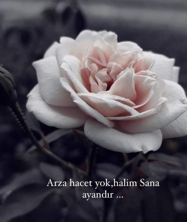 Her gecenin bir sabahı,
Her derdin bir dermanı,
Her duyulmayanın bir fermanı vardır.
Dallar kırılır, yapraklar dökülür.
Mevsim kış olur ama gün gelir;
Vaadinden asla dönmeyen Rahmân,
Geceyi sabaha, 
derdi dermana,
Dalı çiçeğine, 
göğü ve yeri,
Baharına kavuşturur
Yeterki Sabret