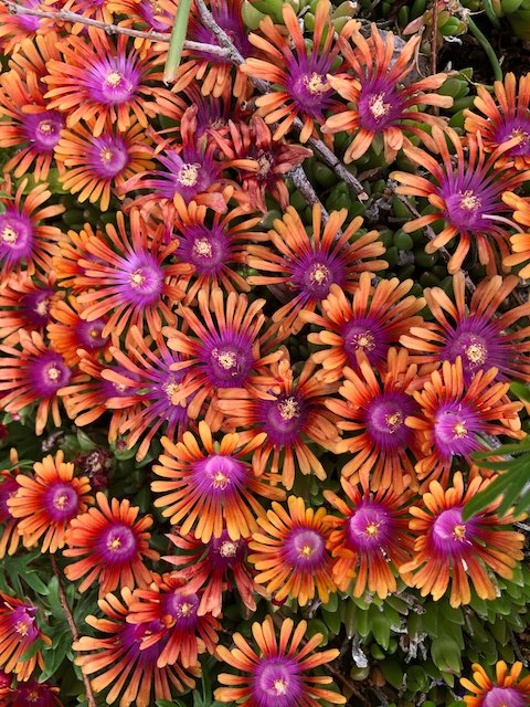 Jimmy Turner tweet media