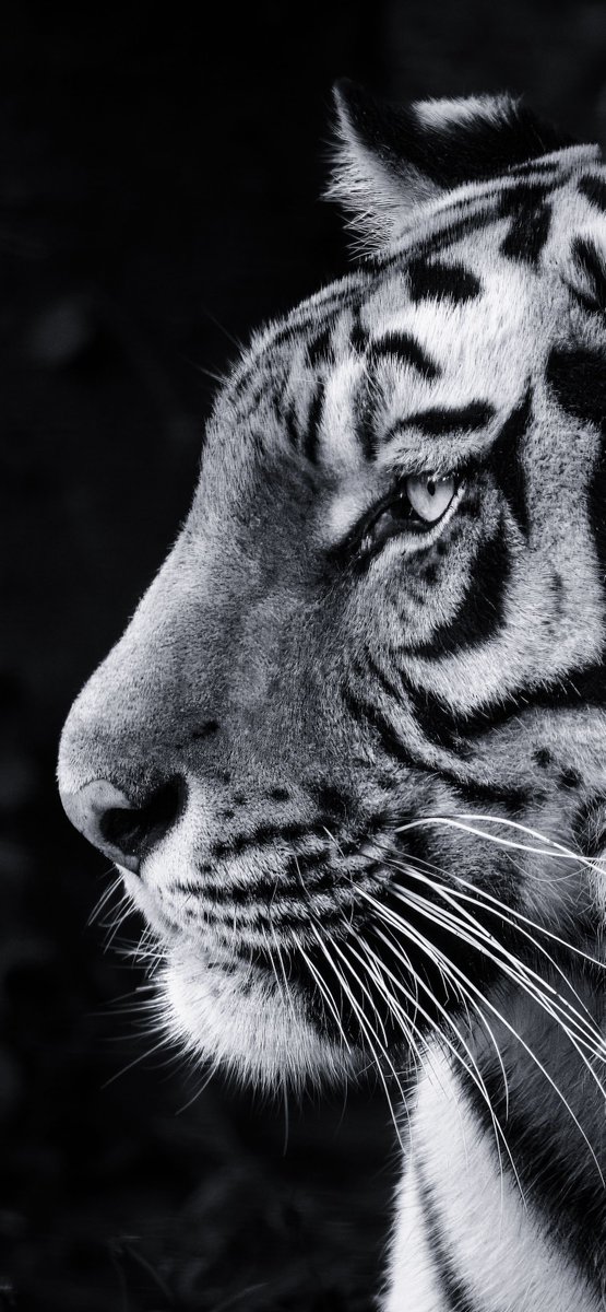 earthcurated's tweet photo. https://t.co/KPWgzvbAfs