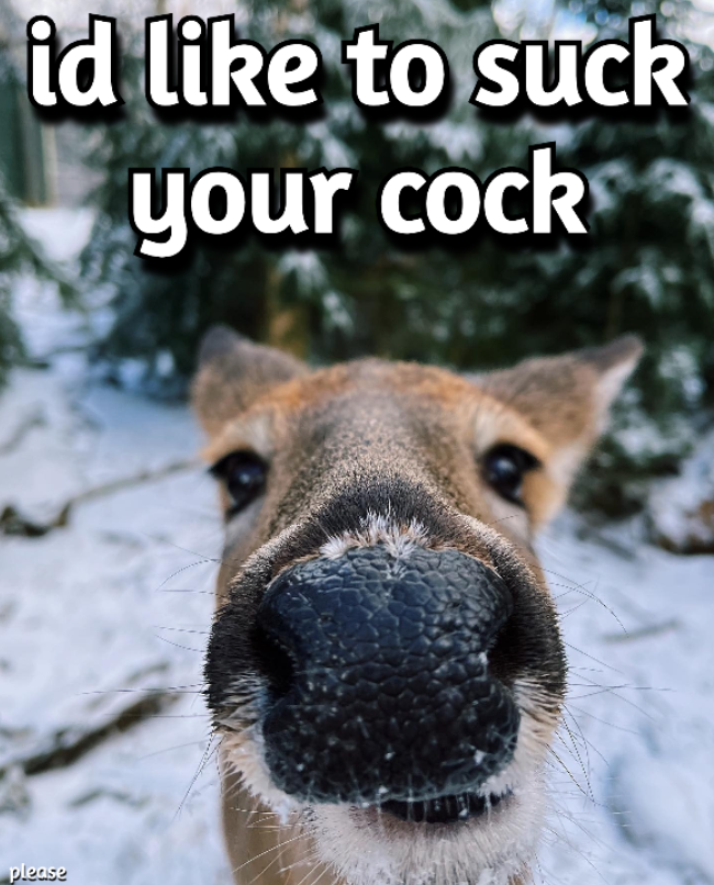 deertexting's tweet photo. 𐂂 *you gotta be always polite and ask* https://t.co/9pgmrhKL3J