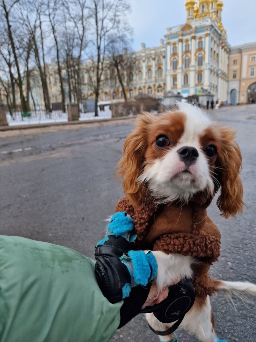 Alla🕊️Скучная 🍁Осень tweet media