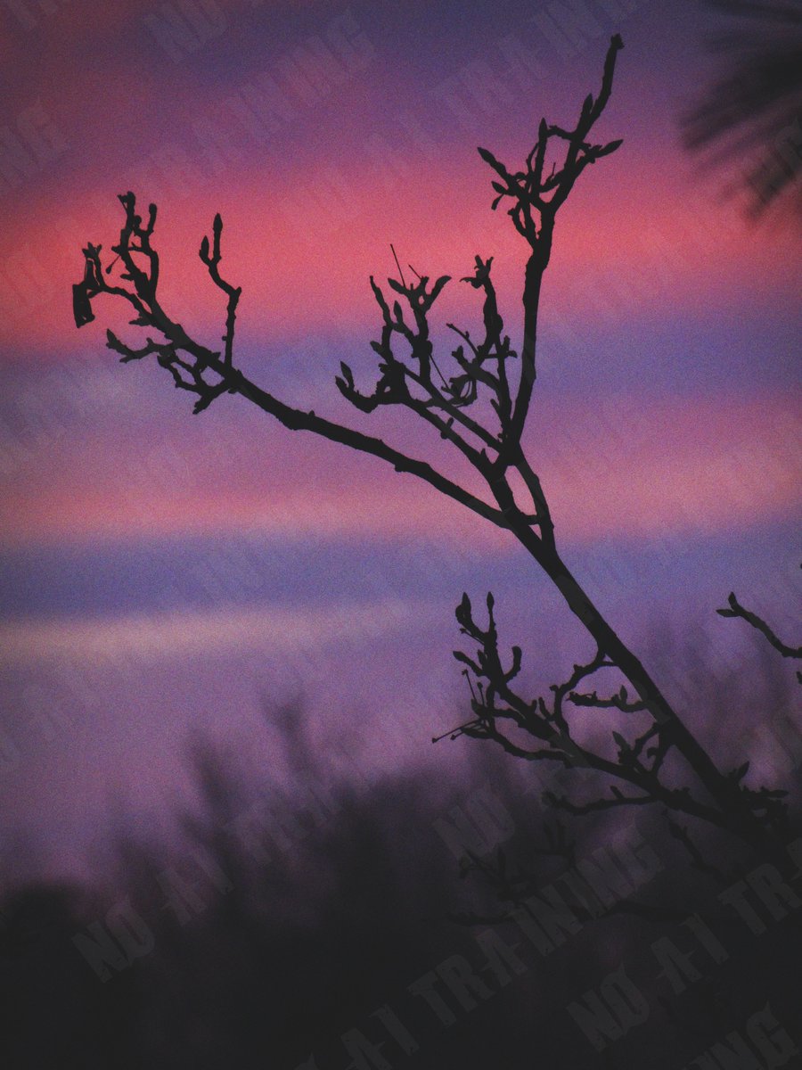 ValorLSD's tweet photo. #photography https://t.co/5FQjpaOKoi