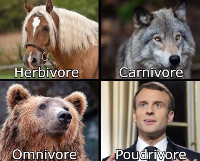 🕊️Myriam🕊️Sauvons L’humanité🕊️@CelebritesSM🕊 tweet media