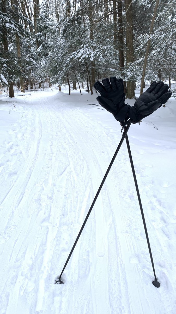 Stefan Ruhl tweet media