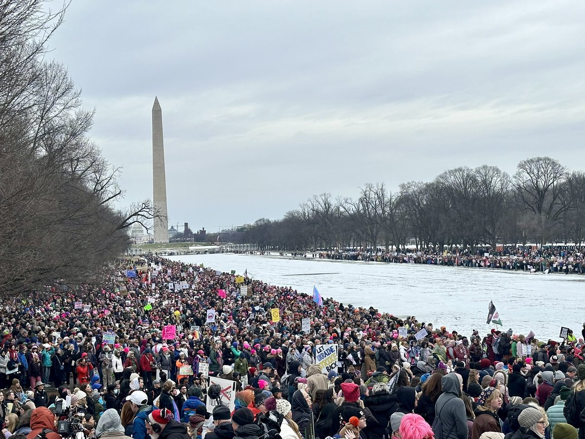 A massive crowd of people protesting Trump.

Don’t ever tell me that Trump can’t get crowds in D.C.🤣