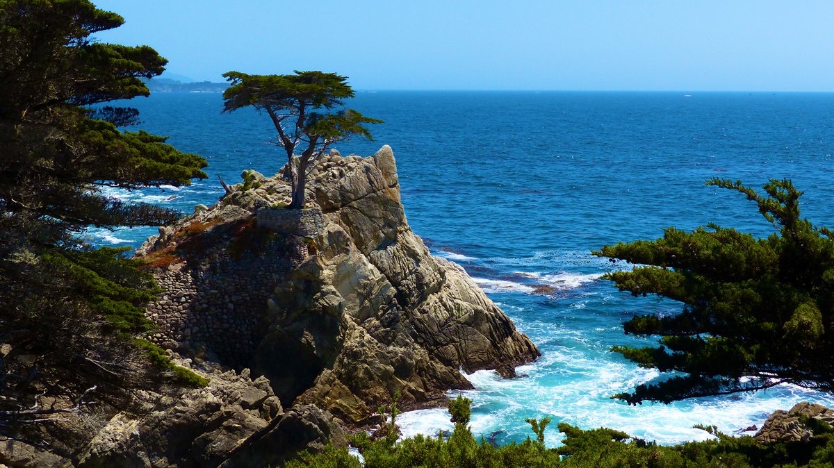 Pebble Beach Golf Links is the most beautiful course in the world. 
This is known as “The Lone Cypress.”