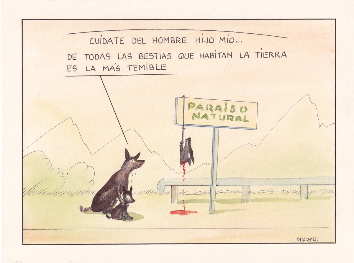 pacocatt's tweet photo. Mi viñeta.
Nacer lobo en Asturias. Lo han vuelto a hacer. https://t.co/iJIjg37NAF