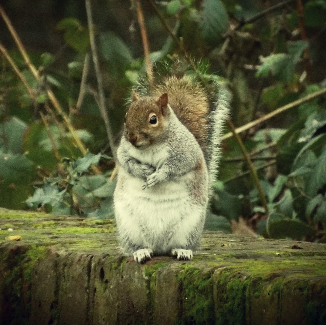 Maeni's External Memory tweet media