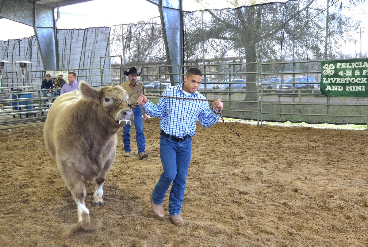 Remaj Nixon tweet media