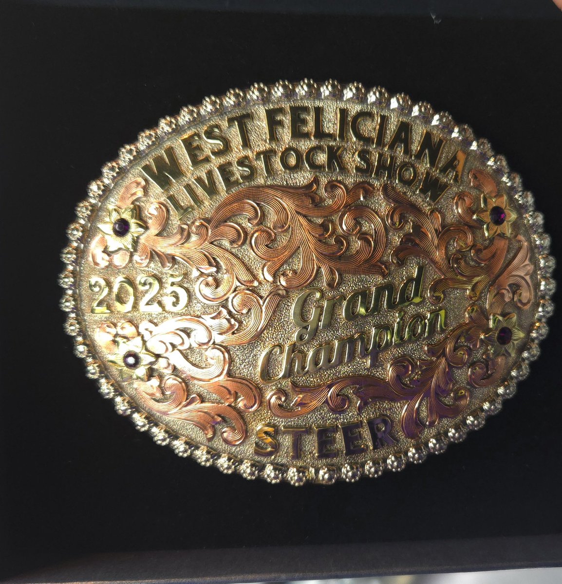 Remaj Nixon tweet media