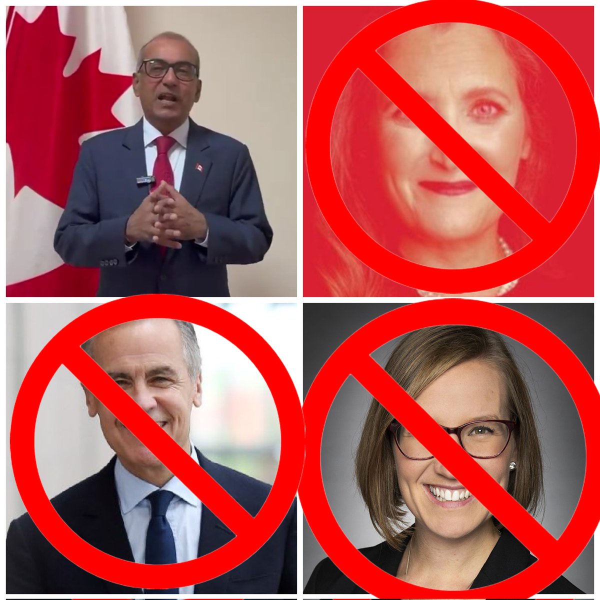 truckdriverpleb's tweet photo. On March 9th I am voting for the guy who can barely speak english and zero French 

Chandra Arya is the only true outsider in this race https://t.co/MQa3e4YHlG