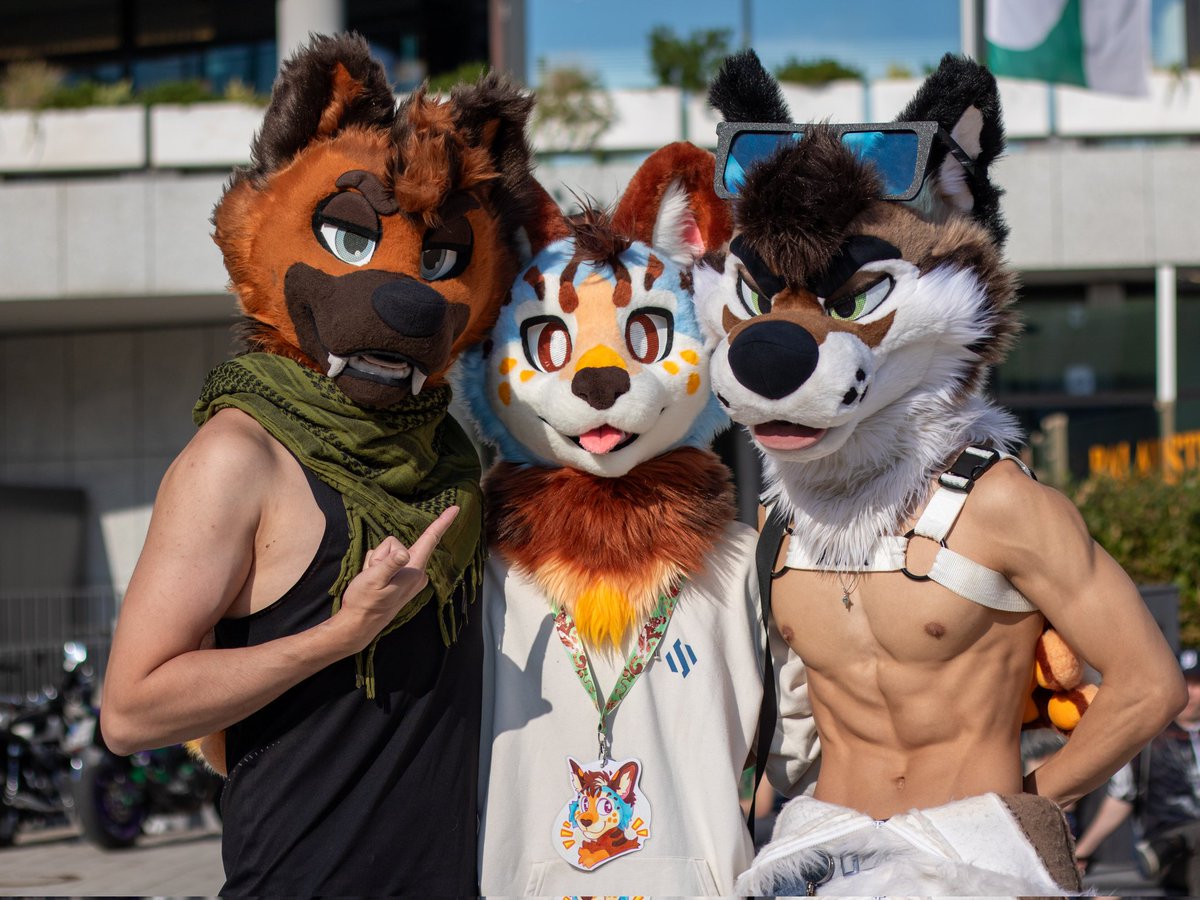 ZackHusky's tweet photo. Incognito 🍊 

⬅️ @RingerShep
➡️ @PalaceWolf_
📸 @XaviPurr https://t.co/HC8pkr0nxn
