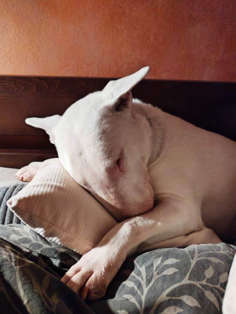 Miláčku náš  papa ❤️