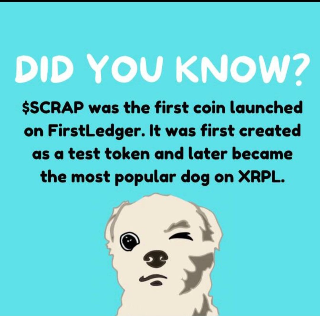 GrafiMaruda's tweet photo. @coinmun @LouieLamboXRP @TheDragonLi @phnix_xrp @ARMY_XRP589 @pongoxrpl @LaughNowXRP @thebertcoin @DropCoinXRPL @scrappyxrp #Scrap https://t.co/Z9OJiNSzy4
