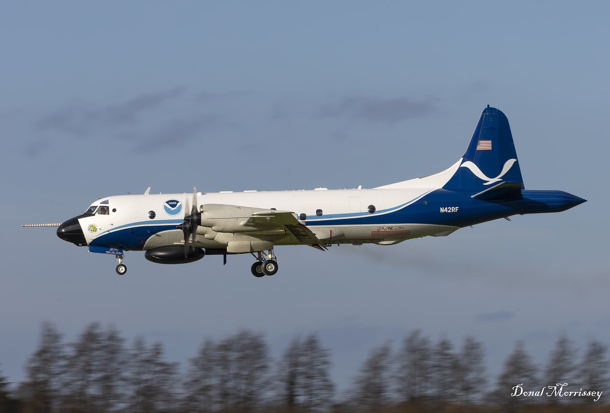 birrlad's tweet photo. Arriving @ShannonAirport this afternoon @NOAA WP-3D Orion N42RF.
#avgeek #aviation #orion #noaa #HurricaneHunter #kermit #ShannonAirport #planespotting #realaircraft https://t.co/JBoE6N7YKh