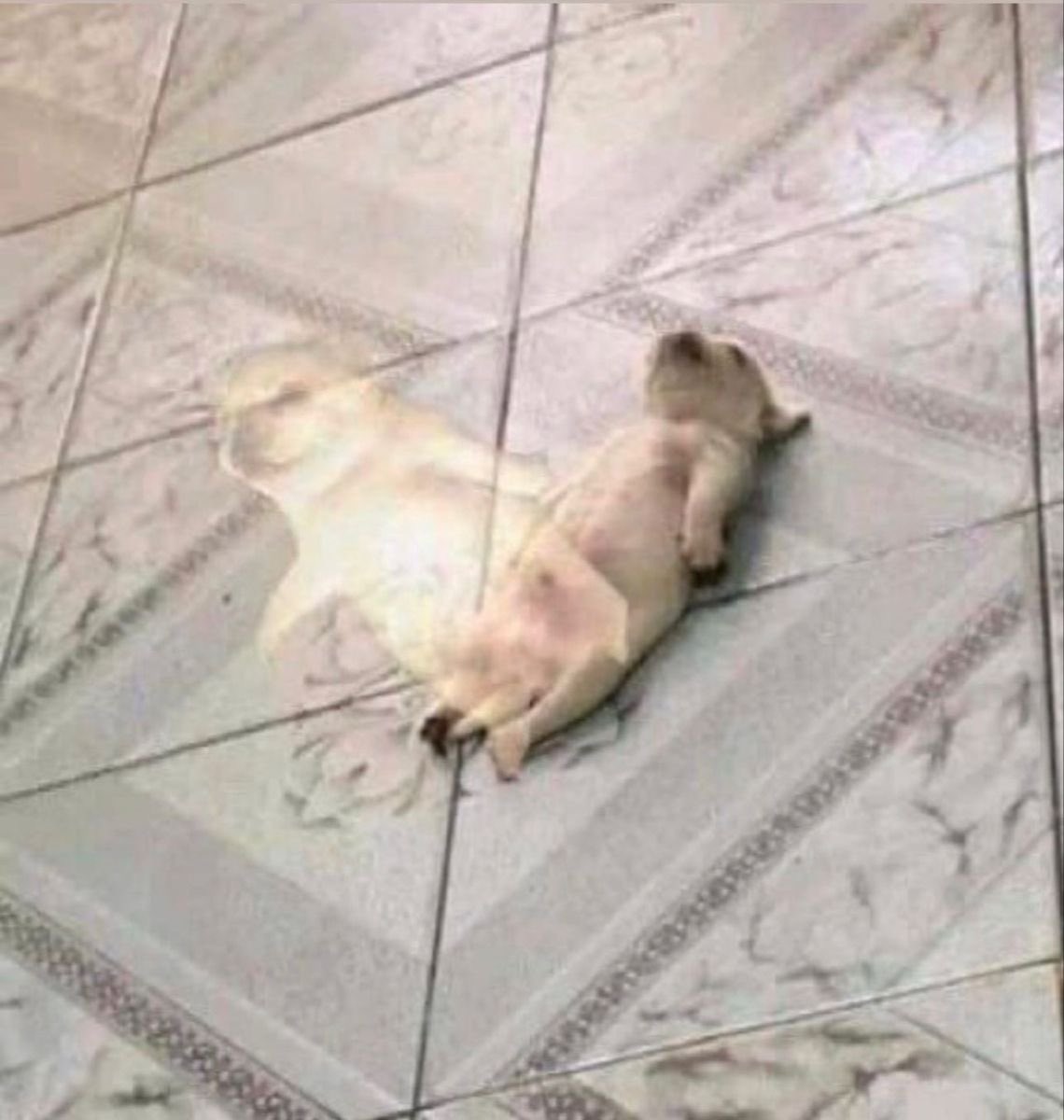 How good I slept last night: