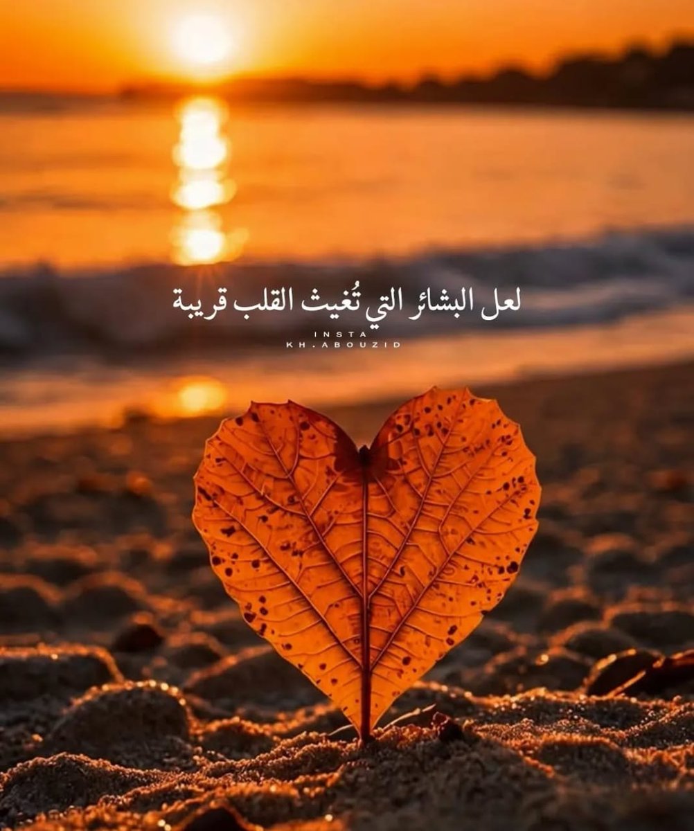 tazih55's tweet photo. صباح الخير على الجميع https://t.co/8zIR1srimy