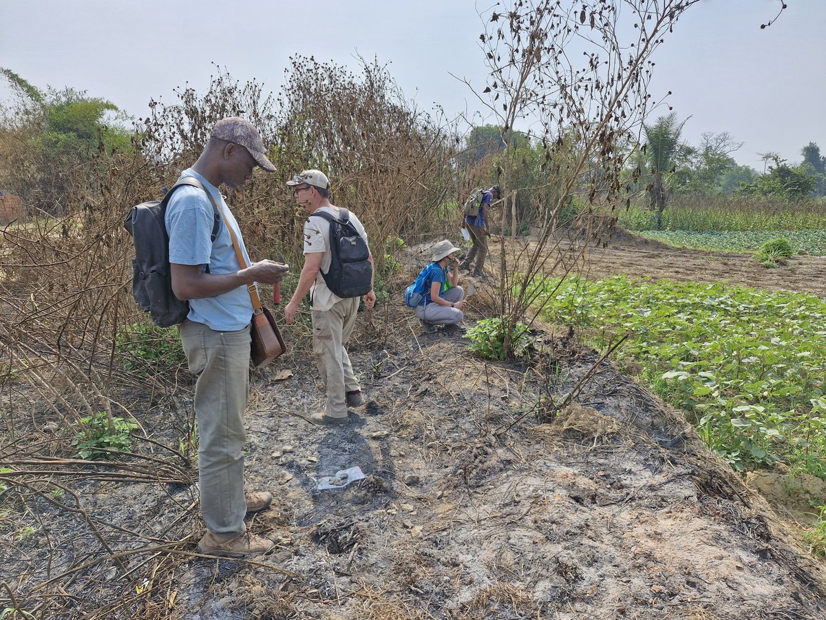 We're out doing survey in the Central African Republic with the #CongUbangi archaeology team and Drs Karen Lupo and Dave Schmitt. We're finding tons of new and interesting sites in collaboration with our CURDHACA colleagues! More to come soon...