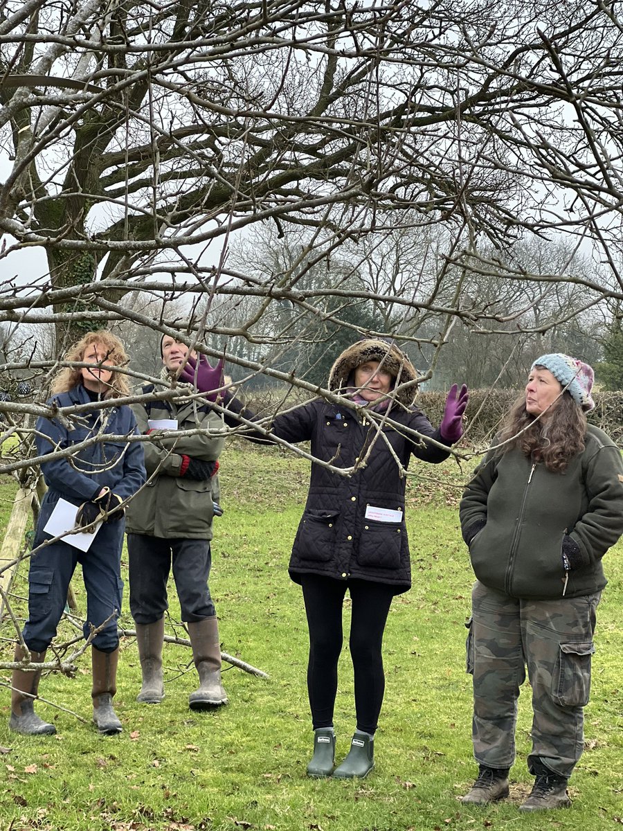 Barry Lewis (@cllrbarrylewis) on Twitter photo Really nice day today spent with great people on a lovely and informative (if somewhat cold) morning workshop at <a href="/AmberValleyWine/">Amber Valley Vineyards</a> learning the arcane art of apple tree pruning.
Was lovely to be out, connecting with nature and sharing a passion for orchards, apple trees and Really nice day today spent with great people on a lovely and informative (if somewhat cold) morning workshop at <a href="/AmberValleyWine/">Amber Valley Vineyards</a> learning the arcane art of apple tree pruning.
Was lovely to be out, connecting with nature and sharing a passion for orchards, apple trees and