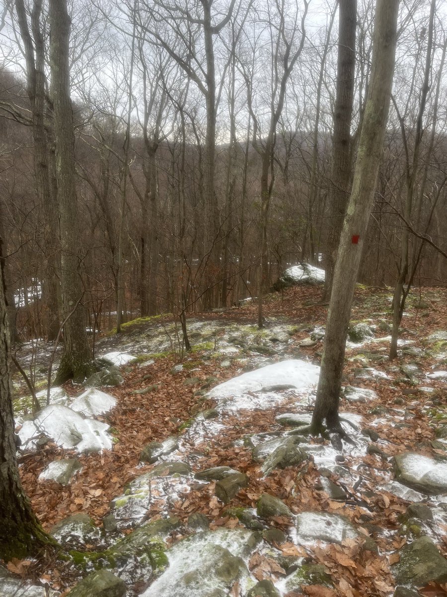jfgrounds22's tweet photo. Rain on this run !! Snow is coming!! 😎✌️ https://t.co/s7x16Ar125