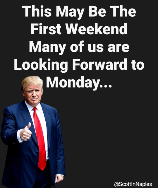 ScottOnCapeCod's tweet image. 