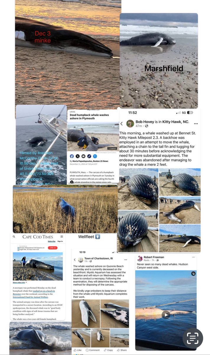 TheStonesEG's tweet photo. @SenWhitehouse You. You're the villain. And soon -- everyone will know what a fraud and liar you are. #coxesledge https://t.co/TkFMYnmrSH