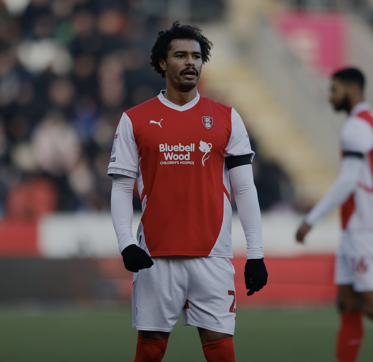 Cameron humphreys tweet media