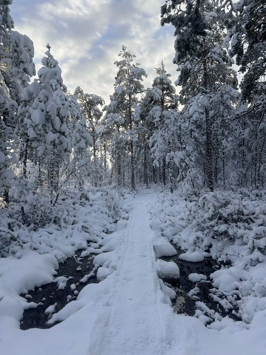 Who else is ready for the snow storm? ❄️☃️
