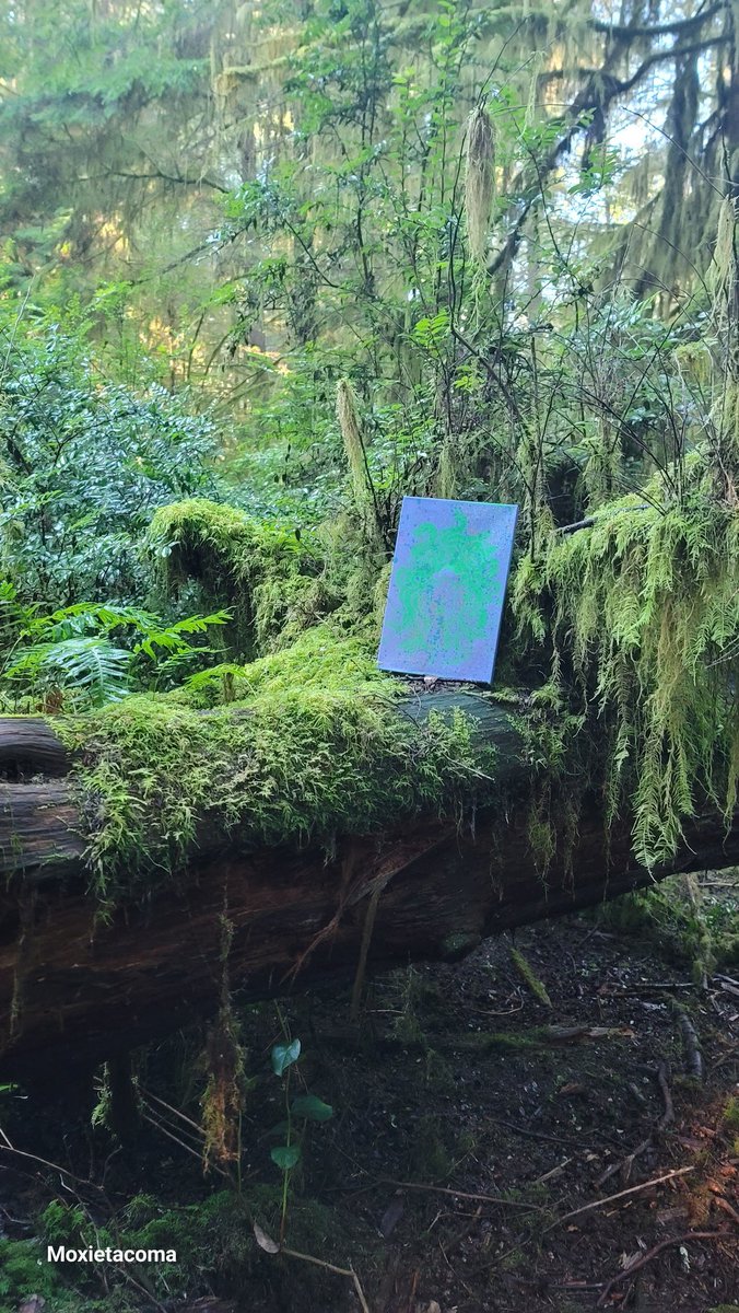 RandomUnicorn95 tweet media