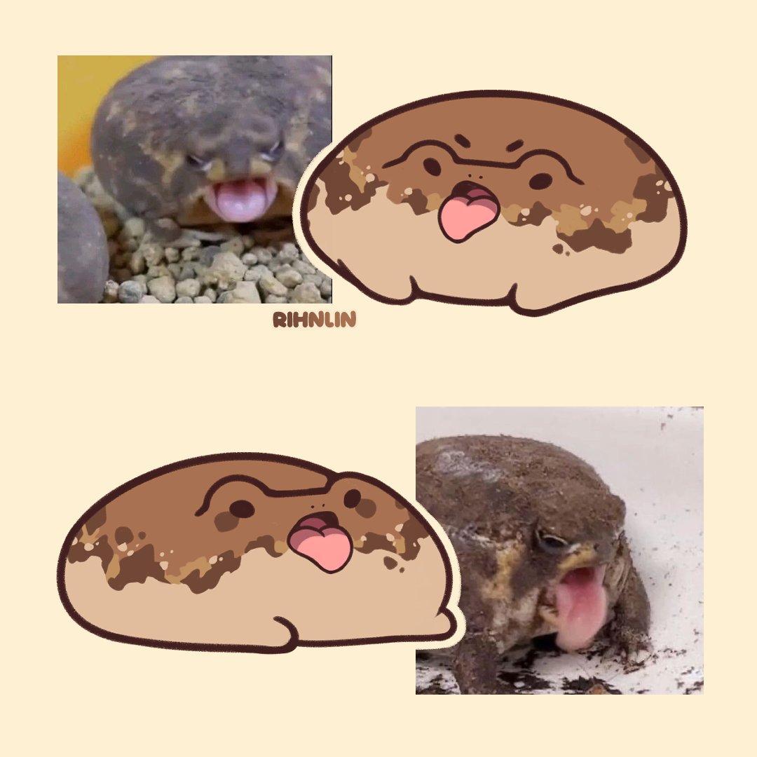 rihnlin's tweet image. 👁👅👁