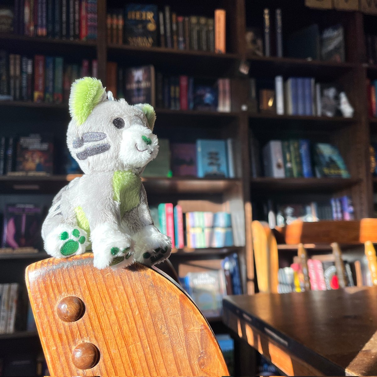 matcha at the sci-fi fantasy bookstore 🥹