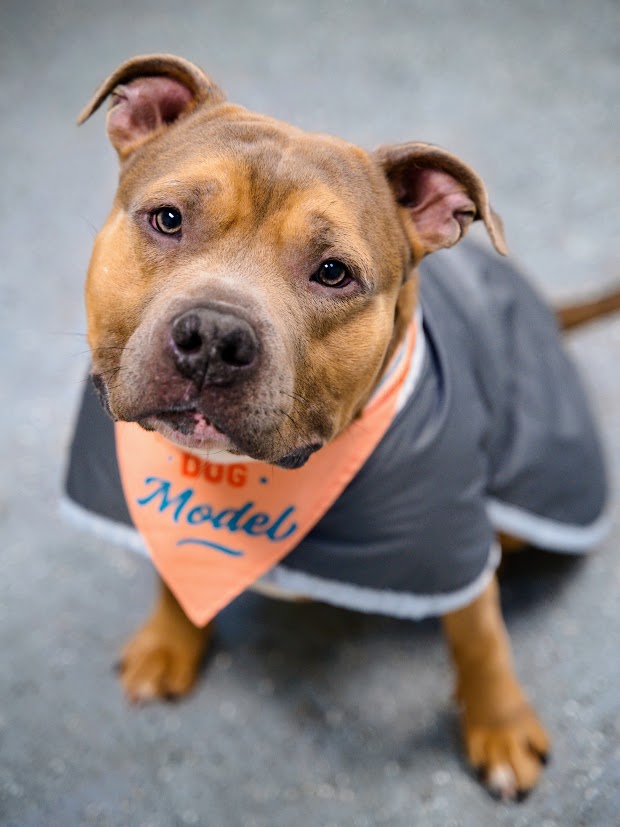 Gary Dare tweet media