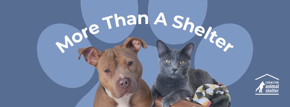 Gary Dare tweet media