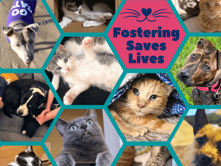 Gary Dare tweet media