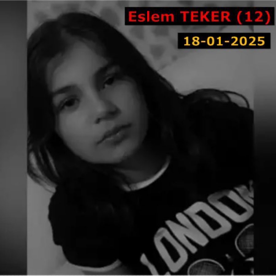 ucarmengu1's tweet photo. @RTErdogan Bu 12 yaşındaki melek gibi yavru sokak köpeklerinin saldırısında cennete gitti sen artık verdiğin hangi sözünü tutuyorsun hiçbirini bu milletin gözünde artık yok hükmündesin https://t.co/46qSzVACPH