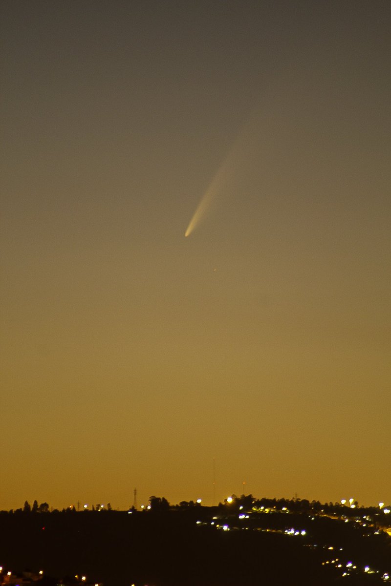 Coraline Jones tweet media