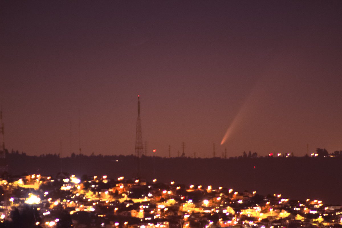 Coraline Jones tweet media