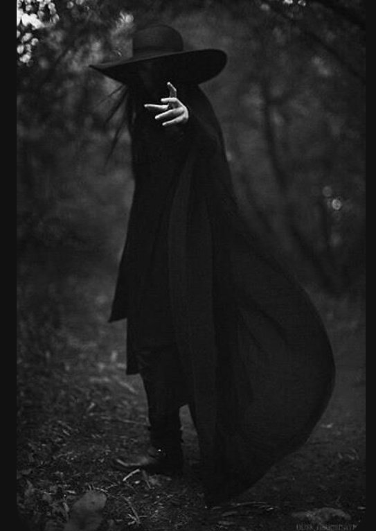 El silencio es mi único compañero fiel. En él, encuentro la verdad de mi propia desolación.  #verdad
#MayaNyx