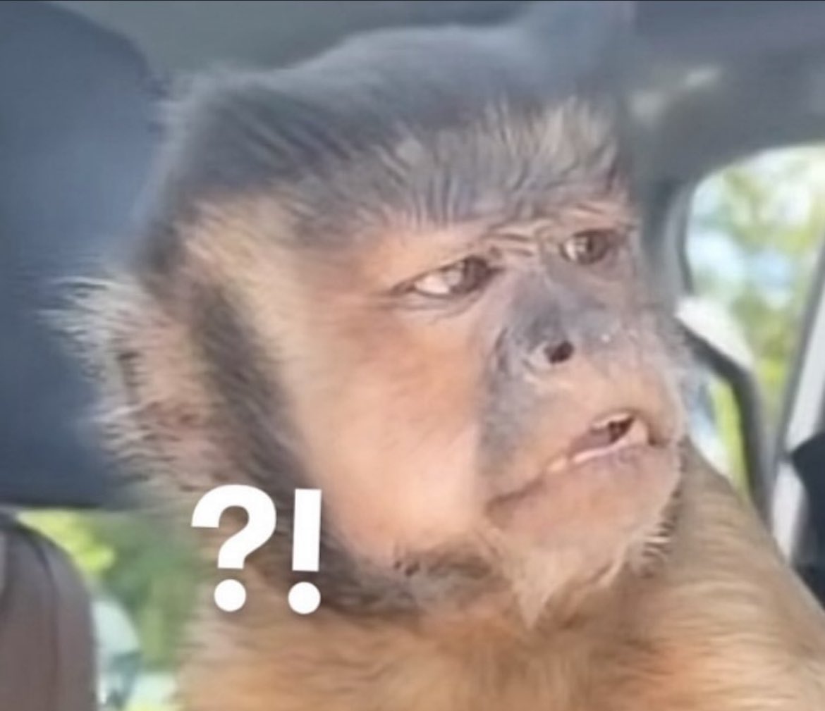 Dónde están los chistes  #OlmueEnTVN