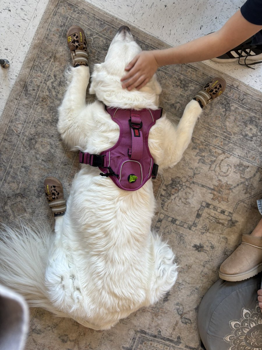 Truly…..it was a great week! So glad to see everyone and get back on track.  Everyone came ready to work hard and play hard. Even Lettie. 💚💛 #4thgraderocks