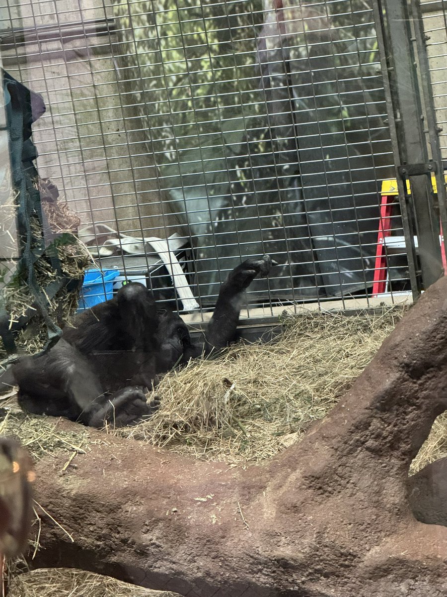 Toby Gordon tweet media