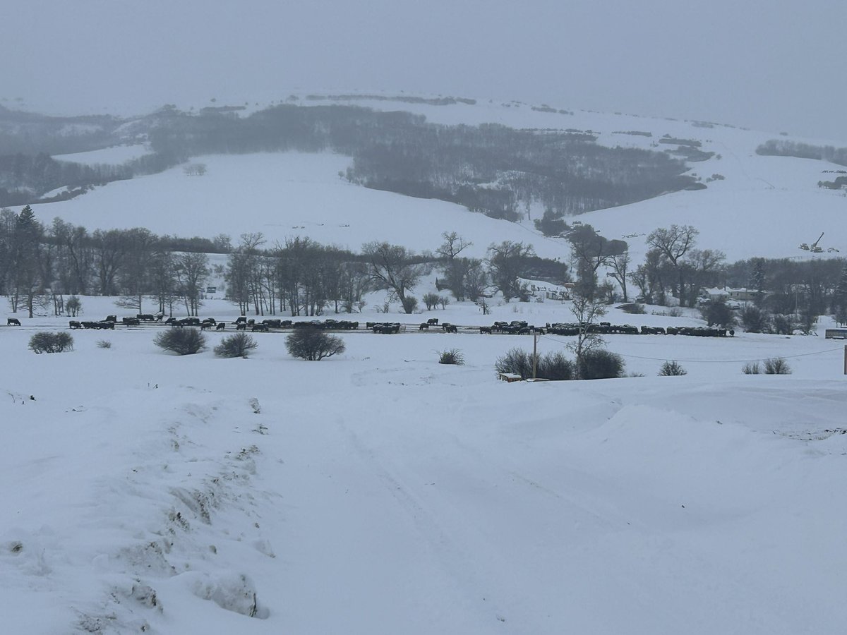 Jason Deffinbaugh tweet media