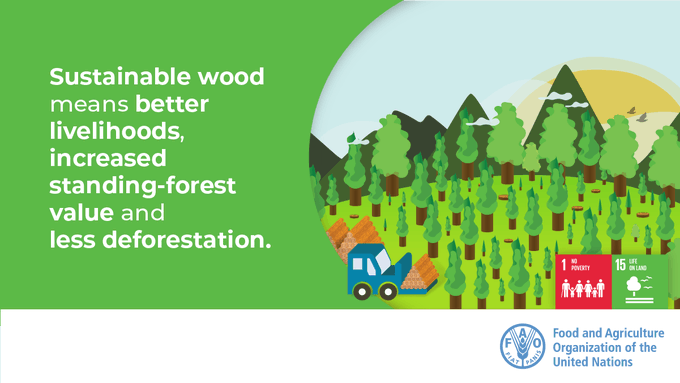 UN Biodiversity (@unbiodiversity) on Twitter photo 🌳🪵Sustainable wood means better livelihoods, increased standing-forest value, and less deforestation!
via <a href="/FAOForestry/">FAO Forestry</a> 🌳🪵Sustainable wood means better livelihoods, increased standing-forest value, and less deforestation!
via <a href="/FAOForestry/">FAO Forestry</a>