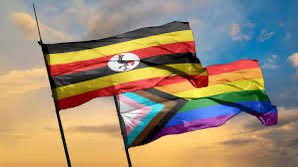 In Uganda, LGBTQ+ individuals endure extreme discrimination and violence due to harsh anti-homosexuality laws. They face societal stigma, threats of imprisonment, and physical assaults, often forcing them into hiding. Despite some international pressure for change, the