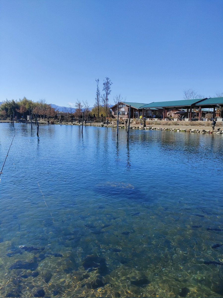 Dr_LEO_LABO's tweet photo. フィッシングパーク高島の泉
今回で④回目です😊
めちゃくちゃ色々釣れました✨️
天気も良くて沢山釣れたので最高♪
#管理釣り場
#エリアトラウト https://t.co/Wo48DziV4X