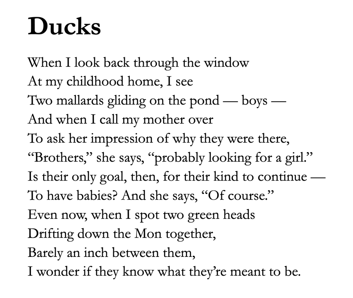 _AllenWarren_'s tweet image. First new poem of the year 🦆