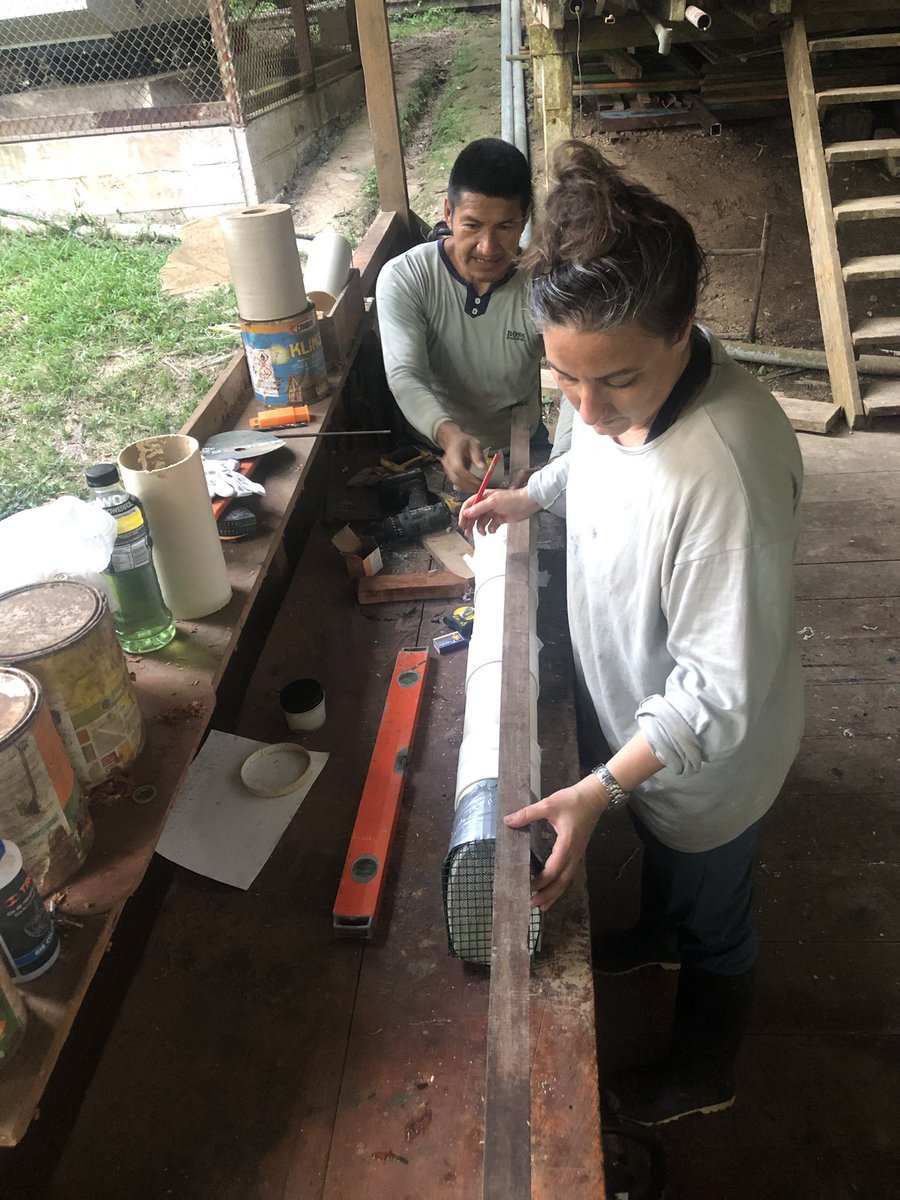 palaeoecology's tweet photo. First day of proper #fieldwork, with the replacement of 20 aerial traps for the 4th yr and the building of the first two water traps!! #workinprogress #itishotinhere #letshaveathinkonhowtodothis https://t.co/cJCEor9nM6